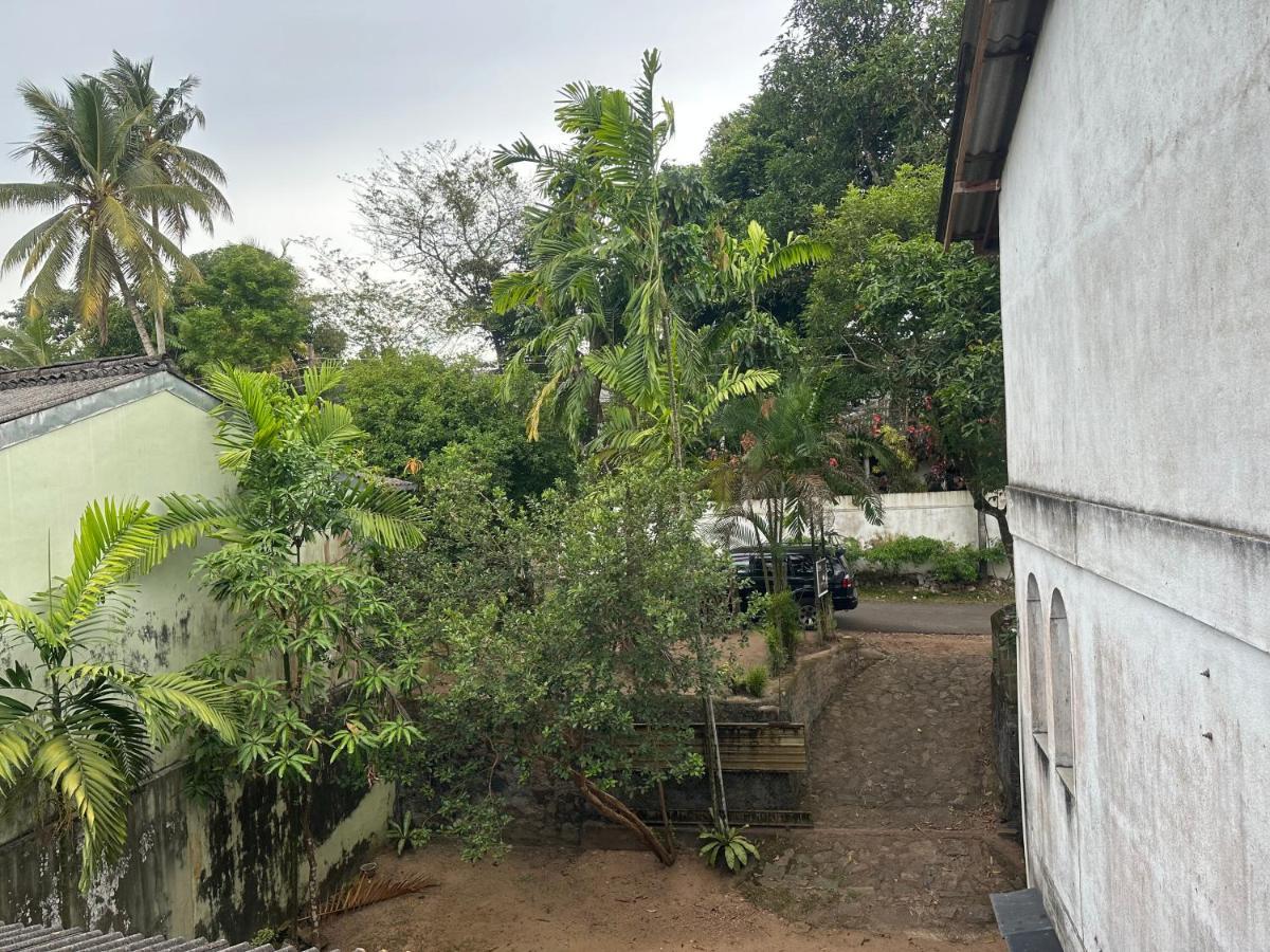 Mango Tree Budget Home Stay Homagama Eksteriør bilde
